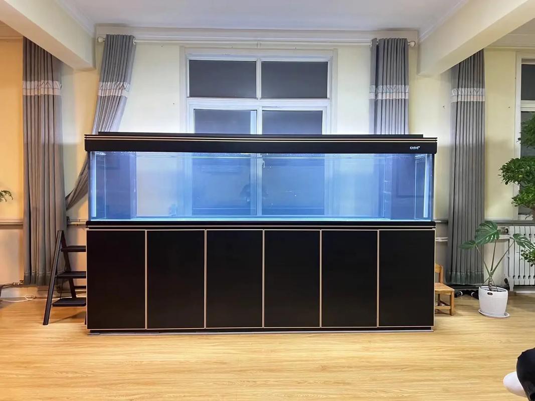 彩蝶最新款龍魚缸