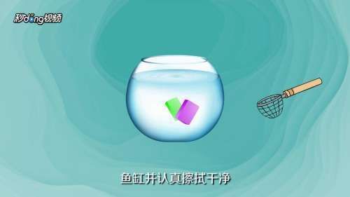 生石灰消毒魚缸的具體步驟？：生石灰消毒魚缸具體步驟如下：生石灰消毒魚缸的具體步驟 生石灰消毒魚缸的具體步驟？：生石灰消毒魚缸具體步驟如下：生石灰消毒魚缸的具體步驟 魚缸百科 第3張
