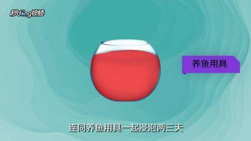 生石灰消毒魚缸的具體步驟？：生石灰消毒魚缸具體步驟如下：生石灰消毒魚缸的具體步驟 生石灰消毒魚缸的具體步驟？：生石灰消毒魚缸具體步驟如下：生石灰消毒魚缸的具體步驟 魚缸百科 第1張