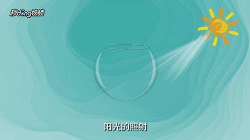 生石灰消毒魚缸的具體步驟？：生石灰消毒魚缸具體步驟如下：生石灰消毒魚缸的具體步驟 生石灰消毒魚缸的具體步驟？：生石灰消毒魚缸具體步驟如下：生石灰消毒魚缸的具體步驟 魚缸百科 第4張