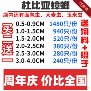 成年龍魚價格走勢分析最新（2024年8月23日成年龍魚價格走勢分析最新信息）