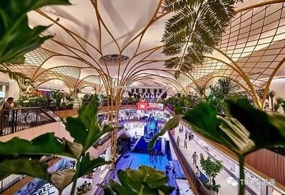 祥龍水族館品牌故事介紹：祥龍水族館品牌發展歷程 祥龍水族館品牌故事介紹：祥龍水族館品牌發展歷程 龍魚百科 第5張