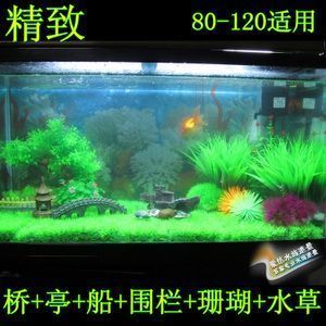 魚缸養魚的幽默句子圖片（“魚缸養魚的幽默句子圖片”）