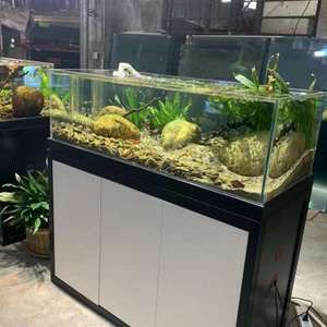 生態魚缸的維護秘籍：海安市多家店鋪銷售魚缸