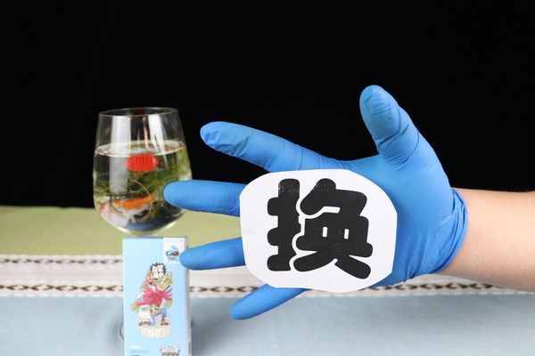 魚缸一個月不換水可以嗎，如何維護魚缸過濾系統魚缸水質惡化的跡象