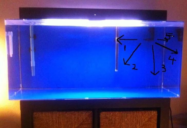 底濾魚缸放水管被堵（底濾魚缸放水管被堵了怎么辦） 底濾魚缸放水管被堵（底濾魚缸放水管被堵了怎么辦） 魚缸百科 第2張