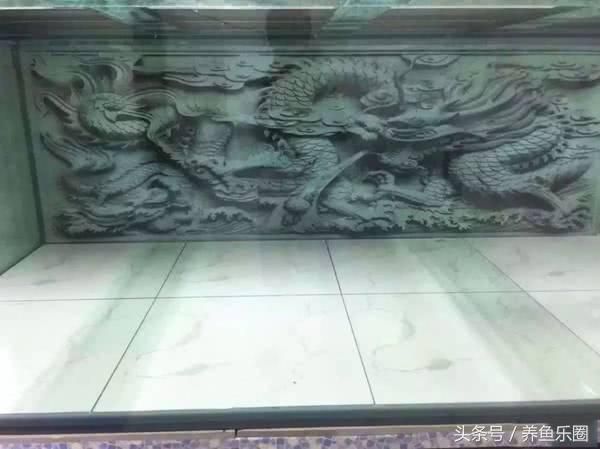 龍魚充血能用碘伏消毒嗎：龍魚充血可以用碘伏消毒嗎