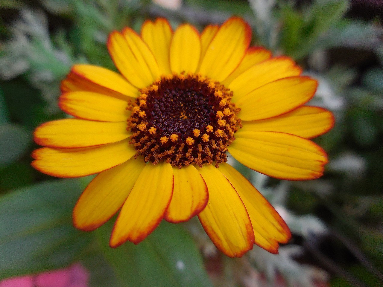 遼陽(yáng)市白塔區(qū)博雅花卉經(jīng)銷處（遼陽(yáng)市白塔區(qū)博雅花卉經(jīng)銷處電話） 遼陽(yáng)市白塔區(qū)博雅花卉經(jīng)銷處（遼陽(yáng)市白塔區(qū)博雅花卉經(jīng)銷處電話） 全國(guó)水族館企業(yè)名錄 第1張