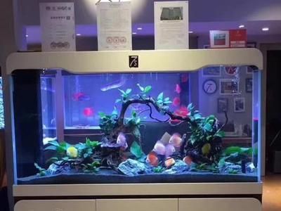 魚缸哪個牌子好而且價位合理（魚缸哪個牌子好）