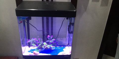 魚缸博宇：博宇魚缸品牌介紹 魚缸博宇：博宇魚缸品牌介紹 魚缸百科 第1張