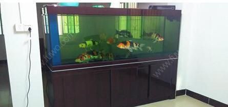魚缸擺放如何影響家居運勢：魚缸擺放位置和方向有許多禁忌，八字五行選魚缸最佳方位