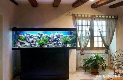 魚缸擺放如何影響家居運勢：魚缸擺放位置和方向有許多禁忌，八字五行選魚缸最佳方位