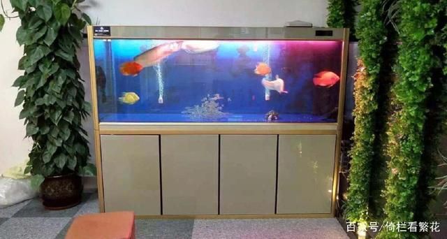 魚缸擺放如何影響家居運勢：魚缸擺放位置和方向有許多禁忌，八字五行選魚缸最佳方位