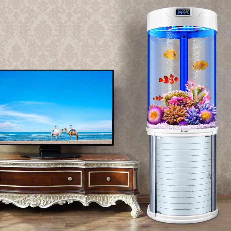 海麗雅魚缸的設計靈感：海麗雅魚缸是一款值得考慮的產品值得考慮的產品 海麗雅魚缸的設計靈感：海麗雅魚缸是一款值得考慮的產品值得考慮的產品 魚缸百科 第3張