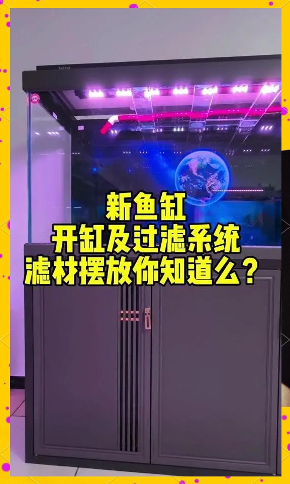藍底過背金龍需要什么樣的過濾系統？