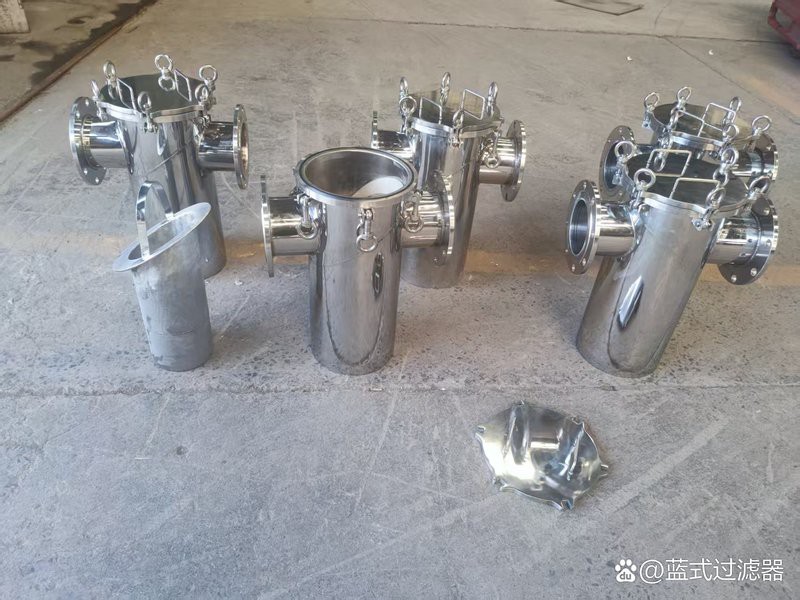 藍底過背金龍需要什么樣的過濾系統？