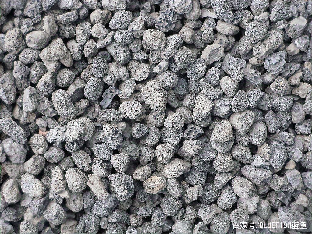 藍底過背金龍需要什么樣的過濾系統？