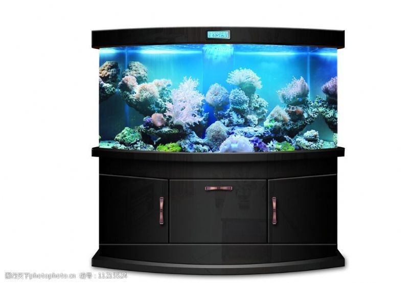 黑色的魚(yú)缸好不好看（黑色魚(yú)缸的美觀性） 黑色的魚(yú)缸好不好看（黑色魚(yú)缸的美觀性） 魚(yú)缸百科 第3張