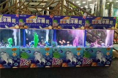 海星魚(yú)缸是一種適合養(yǎng)殖海星的容器，揭秘海星魚(yú)缸的養(yǎng)殖建議：揭秘海星魚(yú)缸與淡水養(yǎng)殖