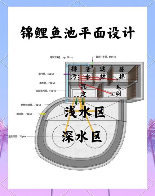 上過(guò)濾魚缸能養(yǎng)龍魚嗎