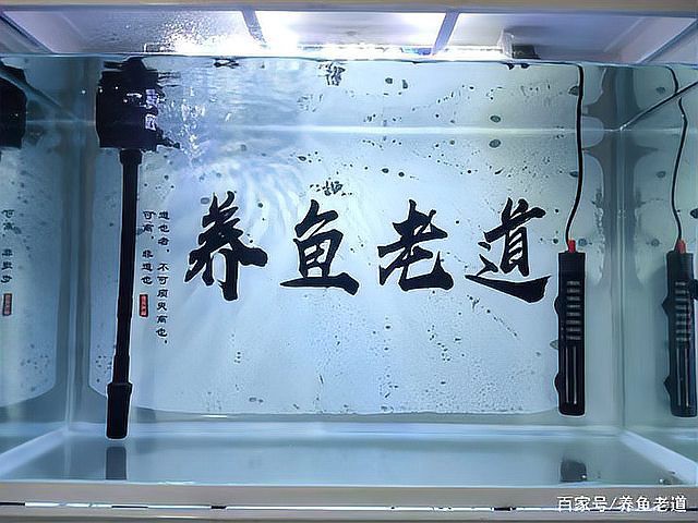 上過(guò)濾魚缸能養(yǎng)龍魚嗎
