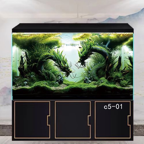 如何選擇龍魚缸的背景材質？