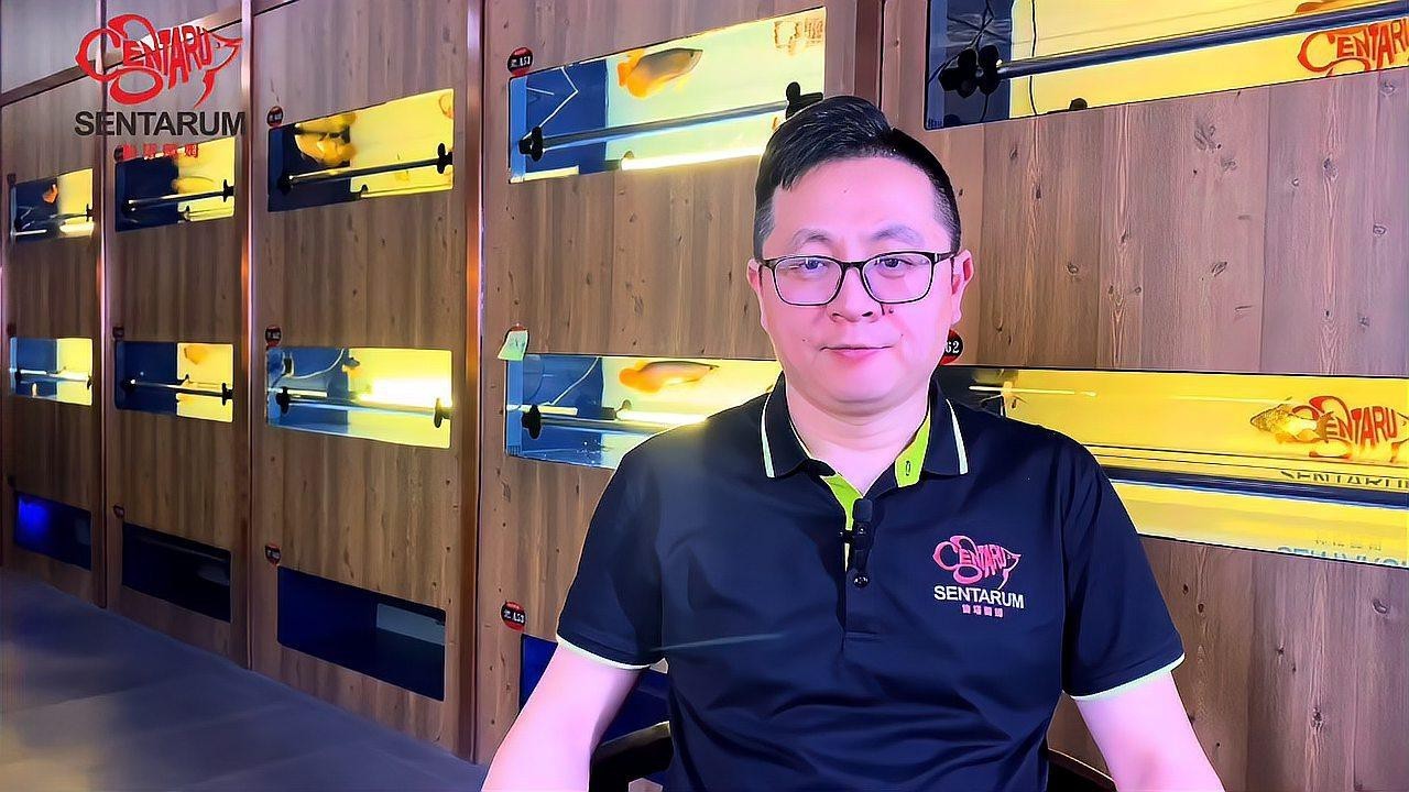 如何選擇龍魚缸的背景材質？