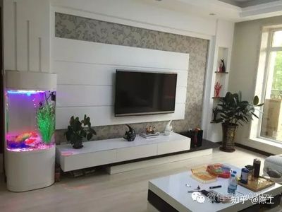 魚缸放在電視旁邊好不好？：電視與魚缸的科學(xué)相處之道