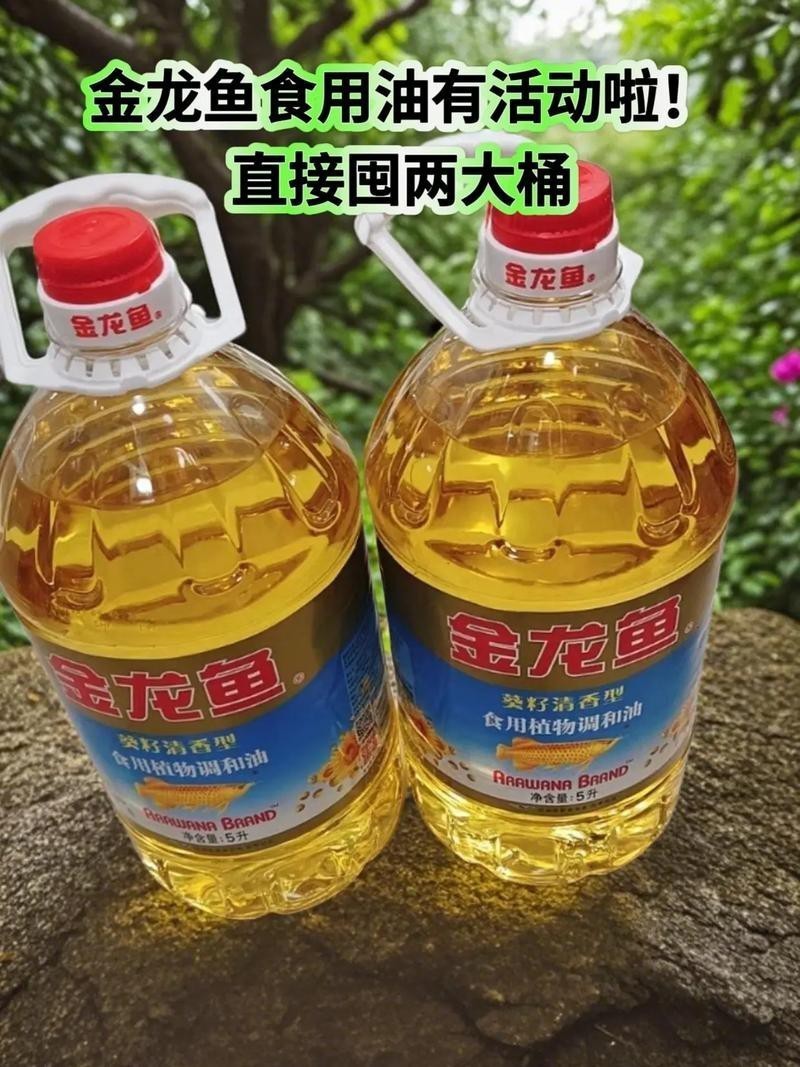廣州哪里有金龍魚賣呀圖片價格