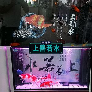 紅龍魚發色過程記錄表格過程記錄表格記錄表格：紅龍魚發色過程怎么記錄