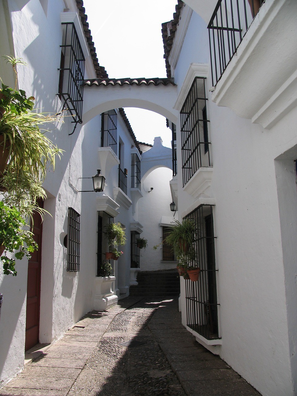 成都易承至美園林造景藝術(shù)有限公司（成都易承至美園林造景藝術(shù)有限公司怎么樣）