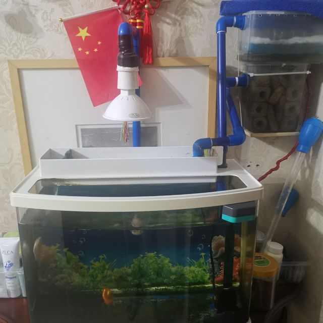 佳寶c380魚缸：佳寶c380魚缸怎么樣 佳寶c380魚缸：佳寶c380魚缸怎么樣 魚缸百科 第3張