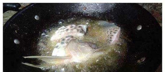 龍魚魚頭朝下是怎么回事:龍魚魚頭朝下的原因及其相應的處理方法 龍魚百科 第5張 龍魚魚頭朝下是怎么回事:龍魚魚頭朝下的原因及其相應的處理方法 龍魚魚頭朝下是怎么回事:龍魚魚頭朝下的原因及其相應的處理方法 龍魚百科 第5張