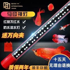 紅龍魚(yú)缸什么燈最好：紅龍魚(yú)缸適合什么燈 紅龍魚(yú)缸什么燈最好：紅龍魚(yú)缸適合什么燈 龍魚(yú)百科 第1張