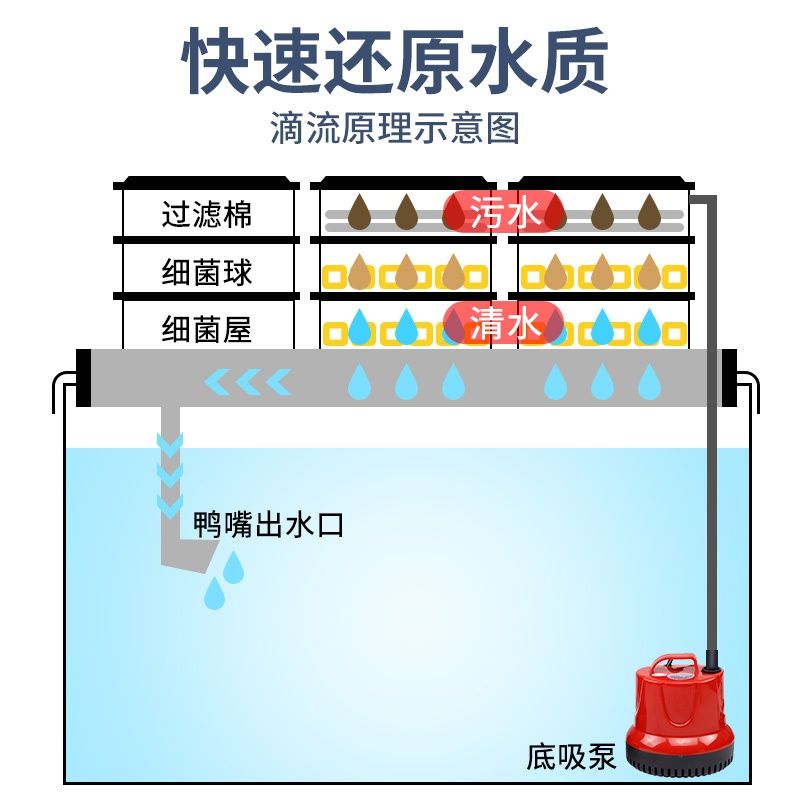 底濾魚缸出水口最佳位置圖，養魚風水學在中國傳統文化中：底濾魚缸出水口最佳位置圖怎么設計 底濾魚缸出水口最佳位置圖，養魚風水學在中國傳統文化中：底濾魚缸出水口最佳位置圖怎么設計 魚缸百科 第1張