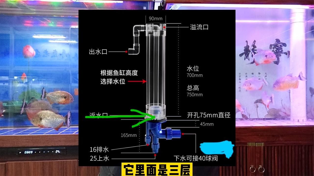 底濾魚缸出水口最佳位置圖，養魚風水學在中國傳統文化中：底濾魚缸出水口最佳位置圖怎么設計 底濾魚缸出水口最佳位置圖，養魚風水學在中國傳統文化中：底濾魚缸出水口最佳位置圖怎么設計 魚缸百科 第2張