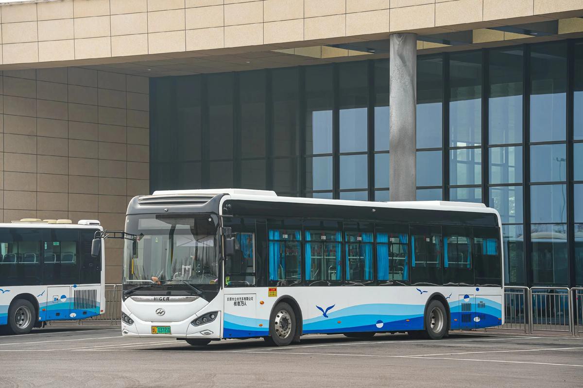 給我推薦幾款蘇州金龍19座客車的型號(hào) 給我推薦幾款蘇州金龍19座客車的型號(hào) 龍魚(yú)百科 第6張