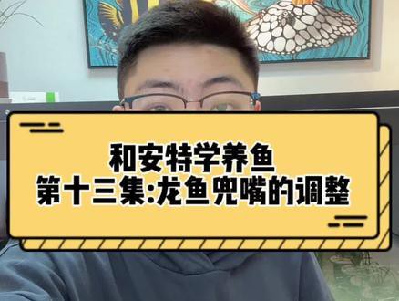 怎么防止龍魚兜嘴