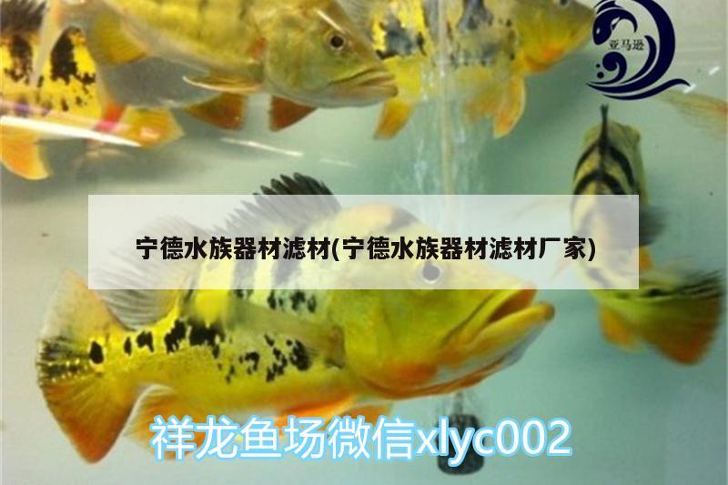 寧德水族器材濾材(寧德水族器材濾材廠家) 寧德水族器材濾材(寧德水族器材濾材廠家) 龍魚百科