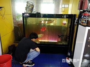經濟開發區老霍魚行（老霍燒烤電話號碼） 經濟開發區老霍魚行（老霍燒烤電話號碼） 全國水族館企業名錄