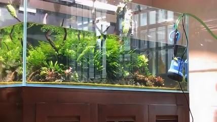 給魚缸換水是否可以使用自來水？：給魚缸換水不建議直接使用自來水處理方法是晾曬法