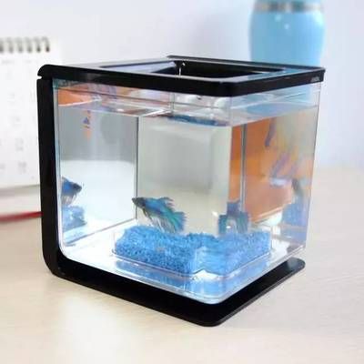 什么樣的魚缸好清理：如何自制魚缸清潔工具