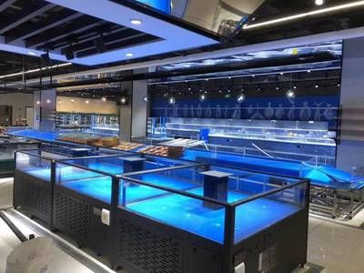 海鮮魚缸養殖技術有哪些：海鮮魚缸養殖技術包括以下幾個方面就是海鮮魚缸養殖技術