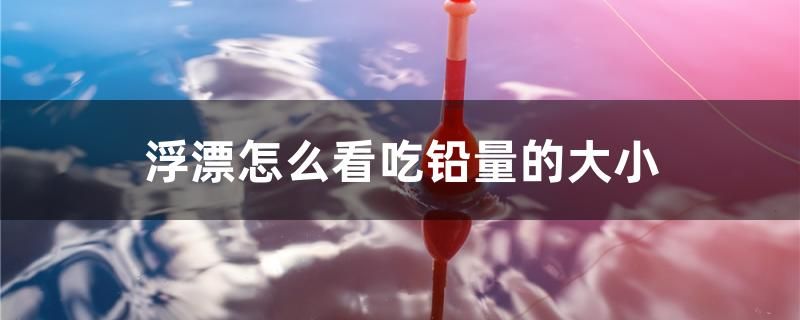 浮漂怎么看吃鉛量的大小 浮漂怎么看吃鉛量的大小 全國水族館企業名錄
