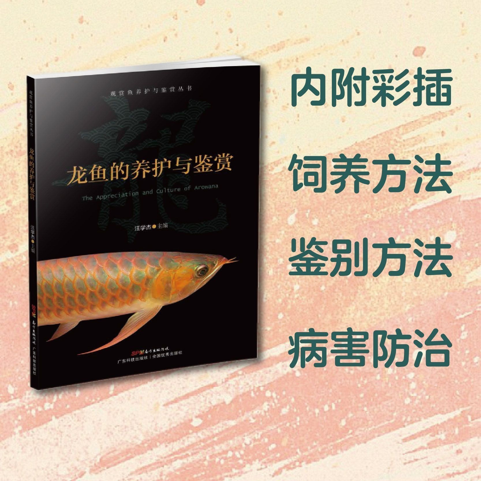 龍魚常用藥：龍魚常用藥物