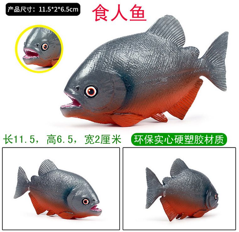恐龍魚vs食人魚（恐龍魚與食人魚的生態位差異,恐龍魚的觀賞價值探究） 恐龍魚vs食人魚（恐龍魚與食人魚的生態位差異,恐龍魚的觀賞價值探究） 龍魚百科 第5張