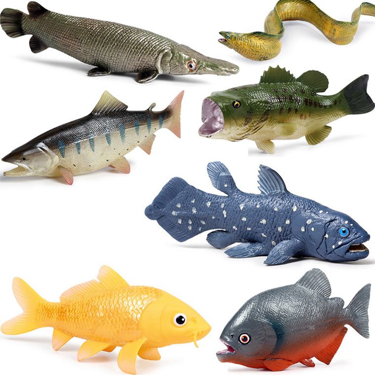 恐龍魚vs食人魚（恐龍魚與食人魚的生態位差異,恐龍魚的觀賞價值探究） 恐龍魚vs食人魚（恐龍魚與食人魚的生態位差異,恐龍魚的觀賞價值探究） 龍魚百科 第2張