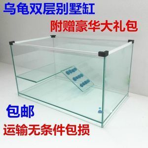 方形玻璃魚缸（個(gè)性化魚缸設(shè)計(jì)的魅力）