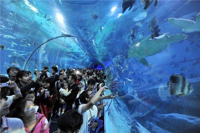 南寧水族館，中國廣西壯族自治區南寧市一個大型水族館旨在展示和保護各種海洋生物 南寧水族館，中國廣西壯族自治區南寧市一個大型水族館旨在展示和保護各種海洋生物 魚缸百科 第5張