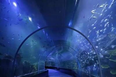 南寧水族館，中國廣西壯族自治區南寧市一個大型水族館旨在展示和保護各種海洋生物 南寧水族館，中國廣西壯族自治區南寧市一個大型水族館旨在展示和保護各種海洋生物 魚缸百科 第3張